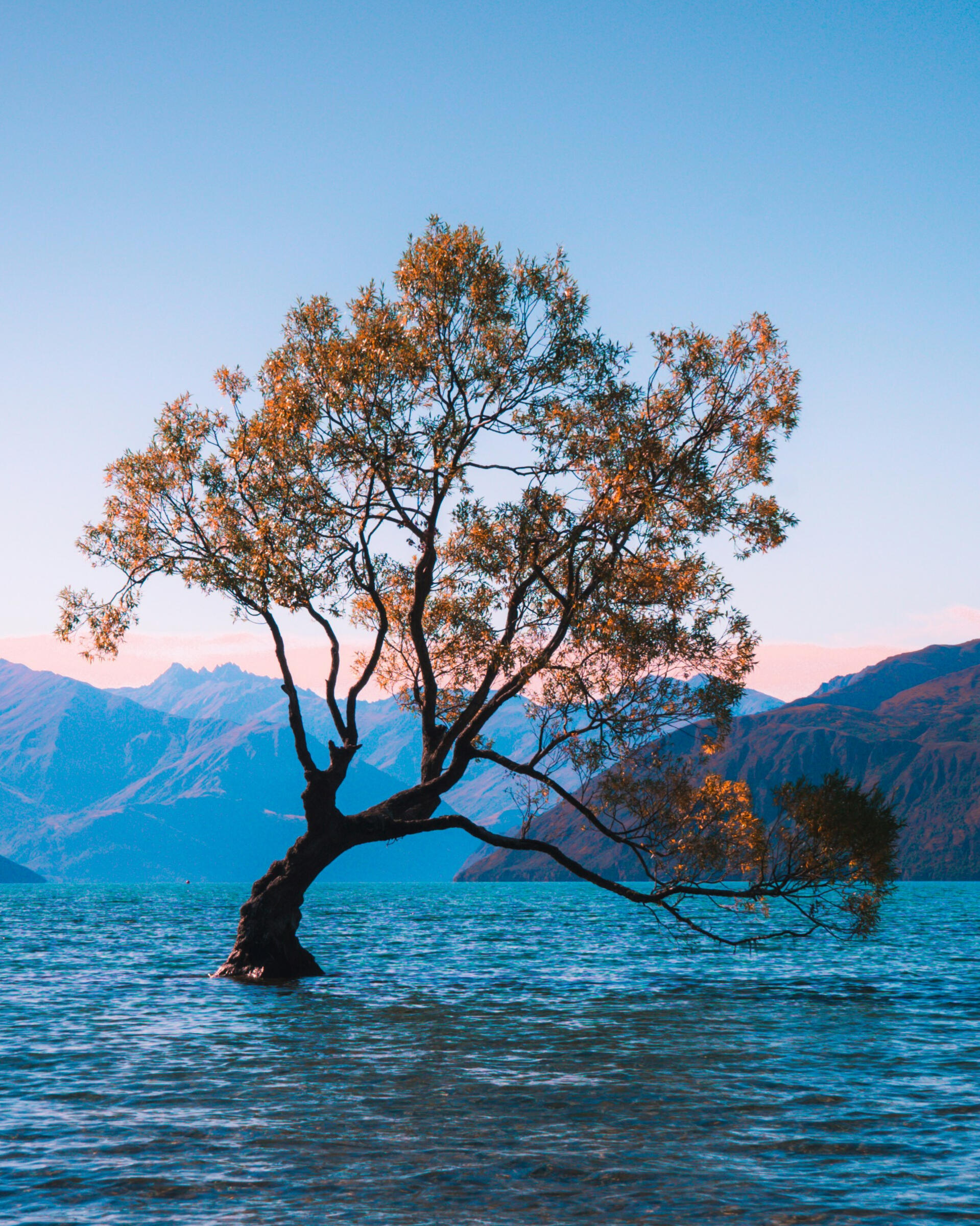 Learn. Reflect. Practice.